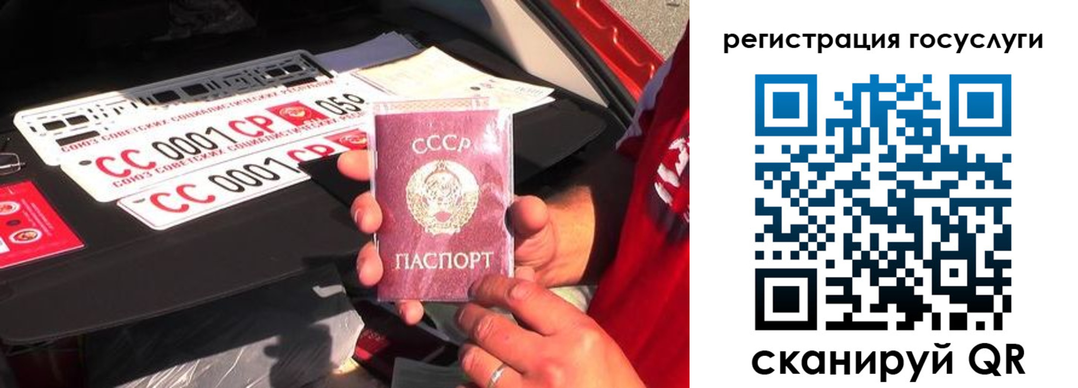 регистрация в Полярных Зорях
